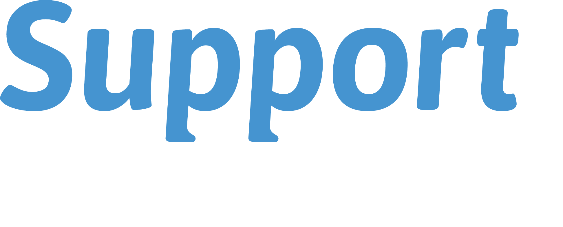 Supportpunt logo